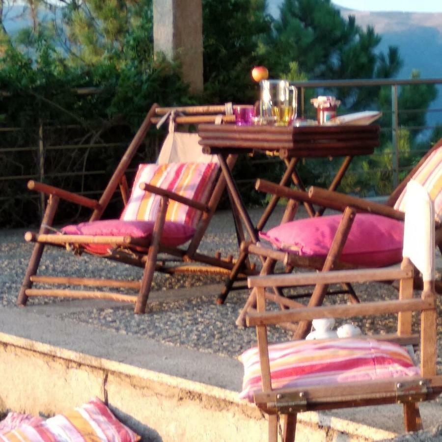 Paraiso Hills - Encostas Do Paraiso: Tranquilidade No Douro Resende Exterior photo